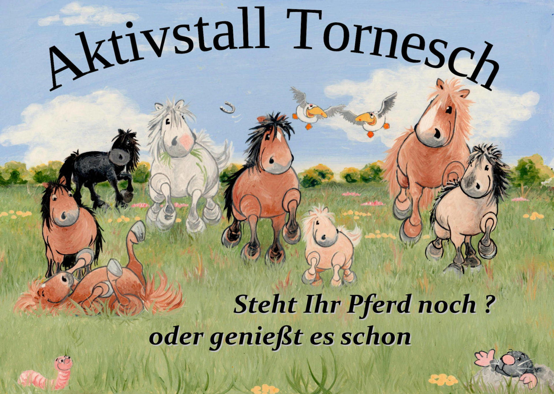 Aktivstall Tornesch